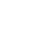 Air Freight Icon